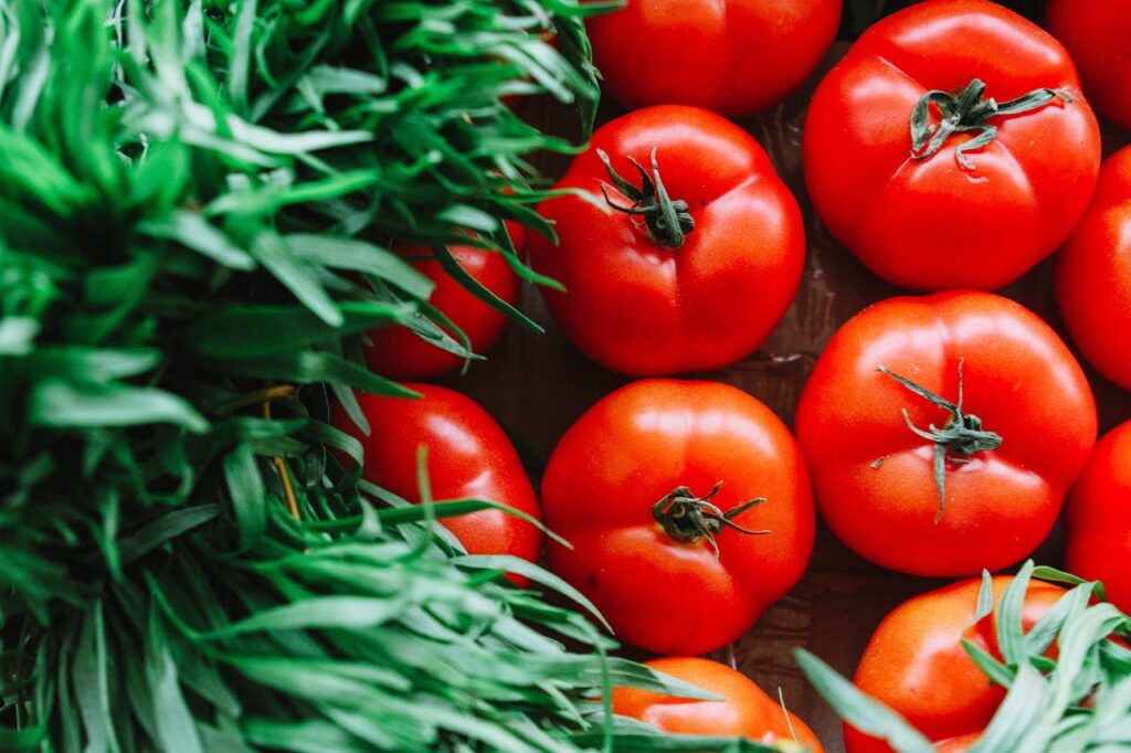 How to Grow Organic Tomatoes in Your Backyard